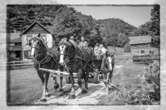 Hayride-3jpeg