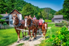 Hayride